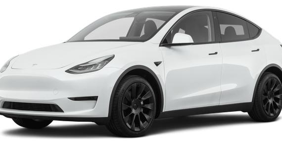 TESLA MODEL Y 2021 5YJYGDED9MF115110 image